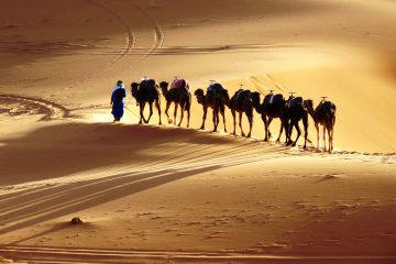 Marruecos, desierto, soplalebeche, Merzouga, Ait Ben addou, Merzouga